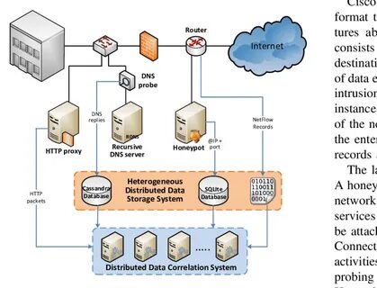 Internet probing
