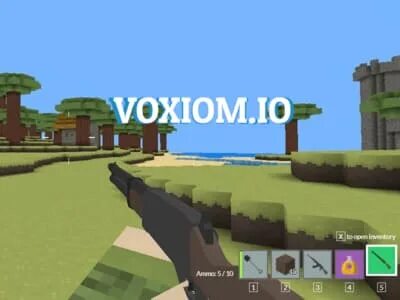 Voxiom