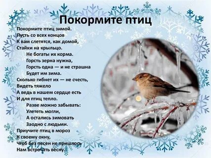 Стихи про птиц зимой