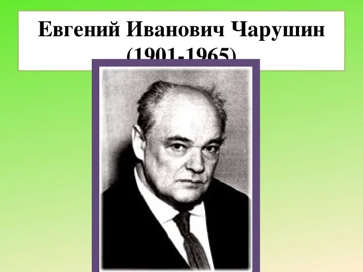 Иванович чарушин. Чарушин писатель. Чарушин портрет. Чарушин писатель. Портрет чарушина художника иллюстратора.