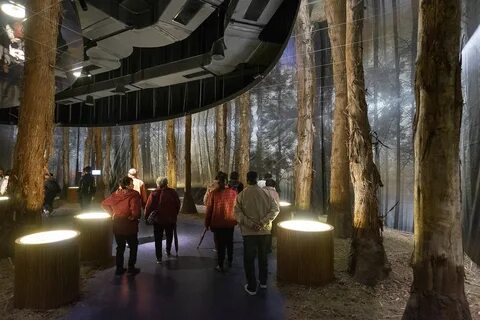 Лес интерактивная
