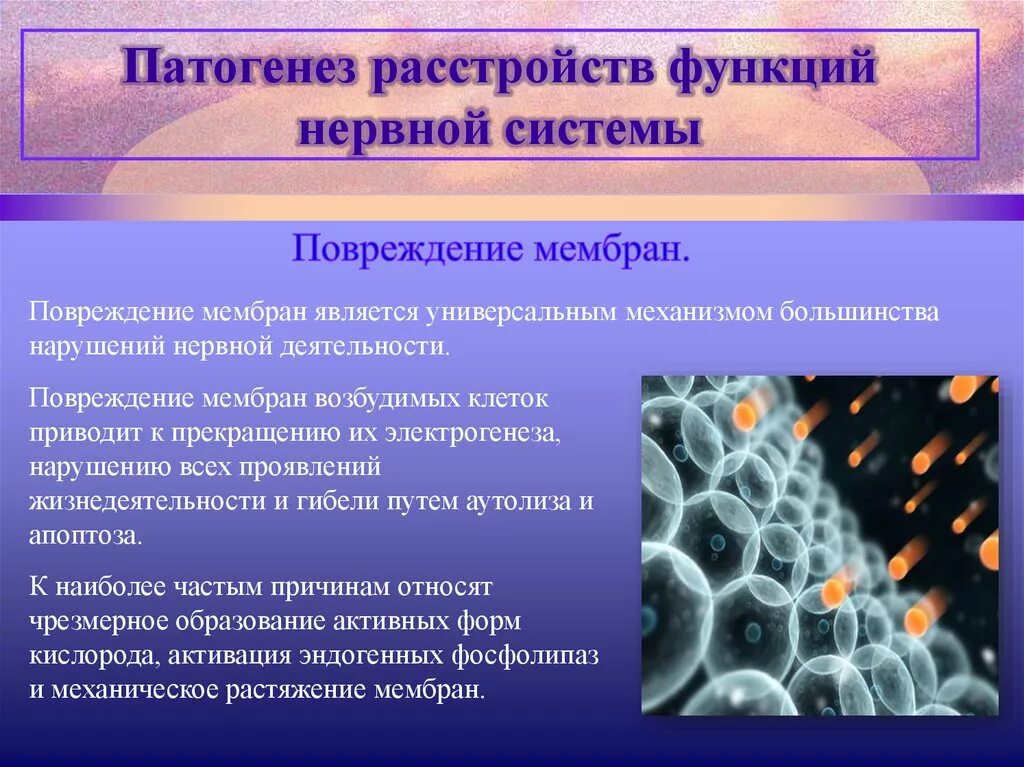 Причины нарушения работы нервной системы. Патогенез нарушений деятельности нервной системы. этиология и патогенез заболеваний нервной системы.. нарушения функции нервной системы патогенез. патогенез расстройств функций нервной системы.