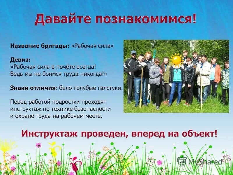 Бригада космос и пчела. Эмблема бригада. Шелыгин бригада. Документы на школьную трудовую бригаду. Название бригады.