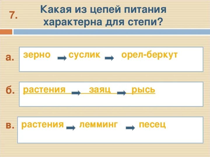 Схема цепи питания характерной для степной зоны Цепь питания характерная для зоны степи