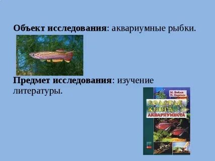 Исследование аквариумных рыбок