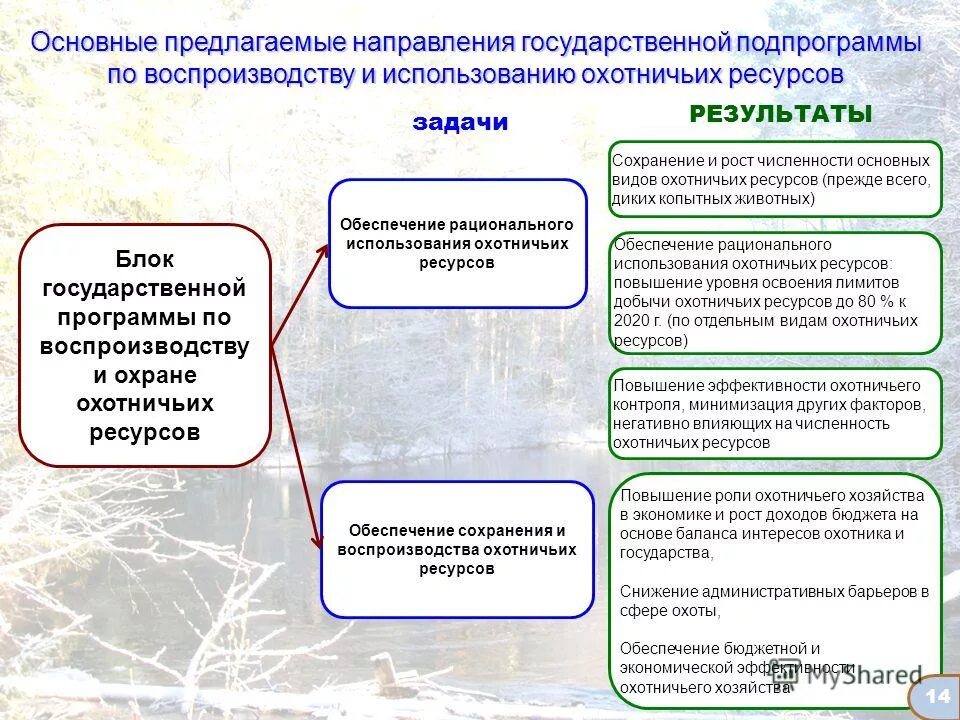 Регулирование численности охотничьих. Мероприятие по охране и воспроизводству охотничьих ресурсов. сохранение охотничьих ресурсов. регулирование численности охотничьих ресурсов. правовое регулирование охоты.