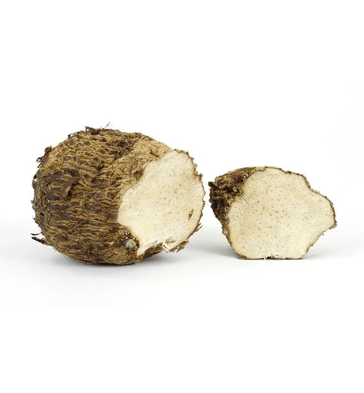 Coco root