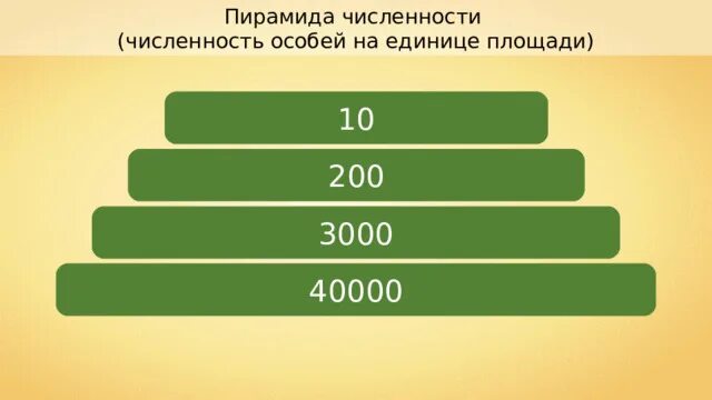 Число особей на единицу площади показывает