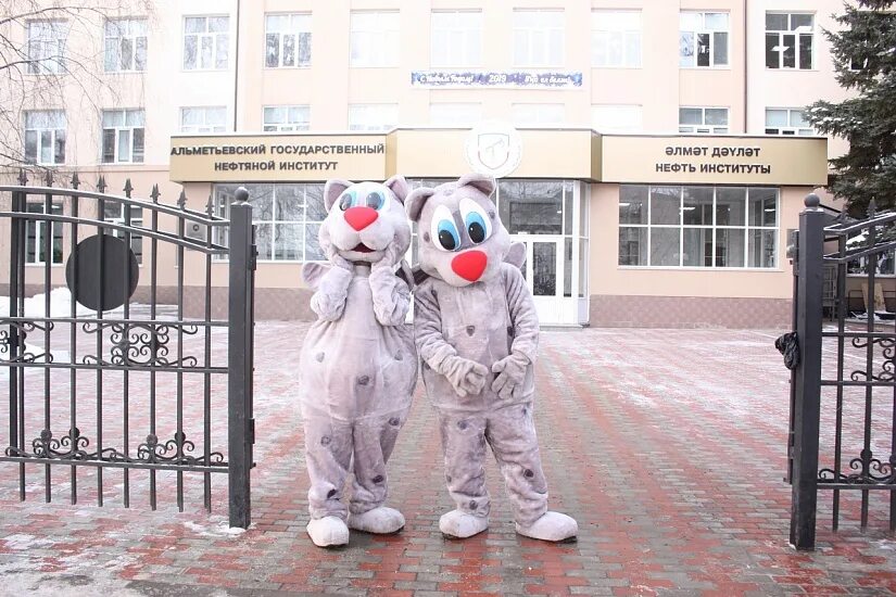 Агни институт альметьевск. Альметьевский государственный институт муниципальной службы. Агни альметьевск. Агни вуз альметьевск. Агни альметьевск.