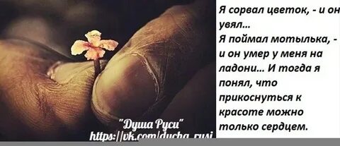 Сорванных цветов как пишется