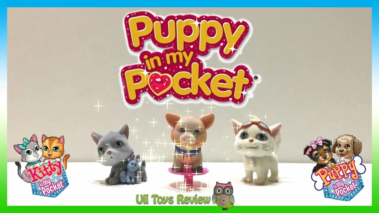 Старс петс магазин. Pet Star игрушки. Kitty in my Pocket игрушки. Май покет старс питомцы. Stars Cat игрушка.