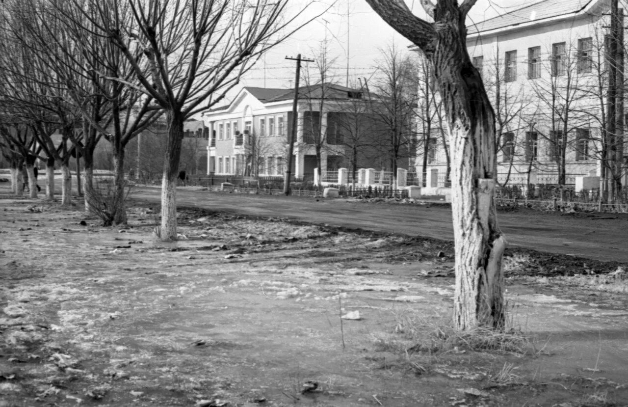 усадьба дружинина кыштым. улица ленина кыштым. мариинская дача кыштым. кыштым, ул. улицы кыштыма.