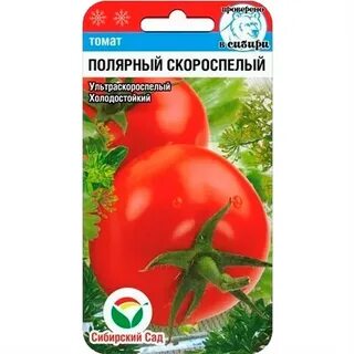 Томат полярное сияние