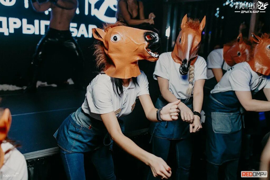 Пинк хорс бар белгород. Бар лошадка. Лошадка бар красноярск. Лошадка бар красноярск. Дрыга бар лошадка.