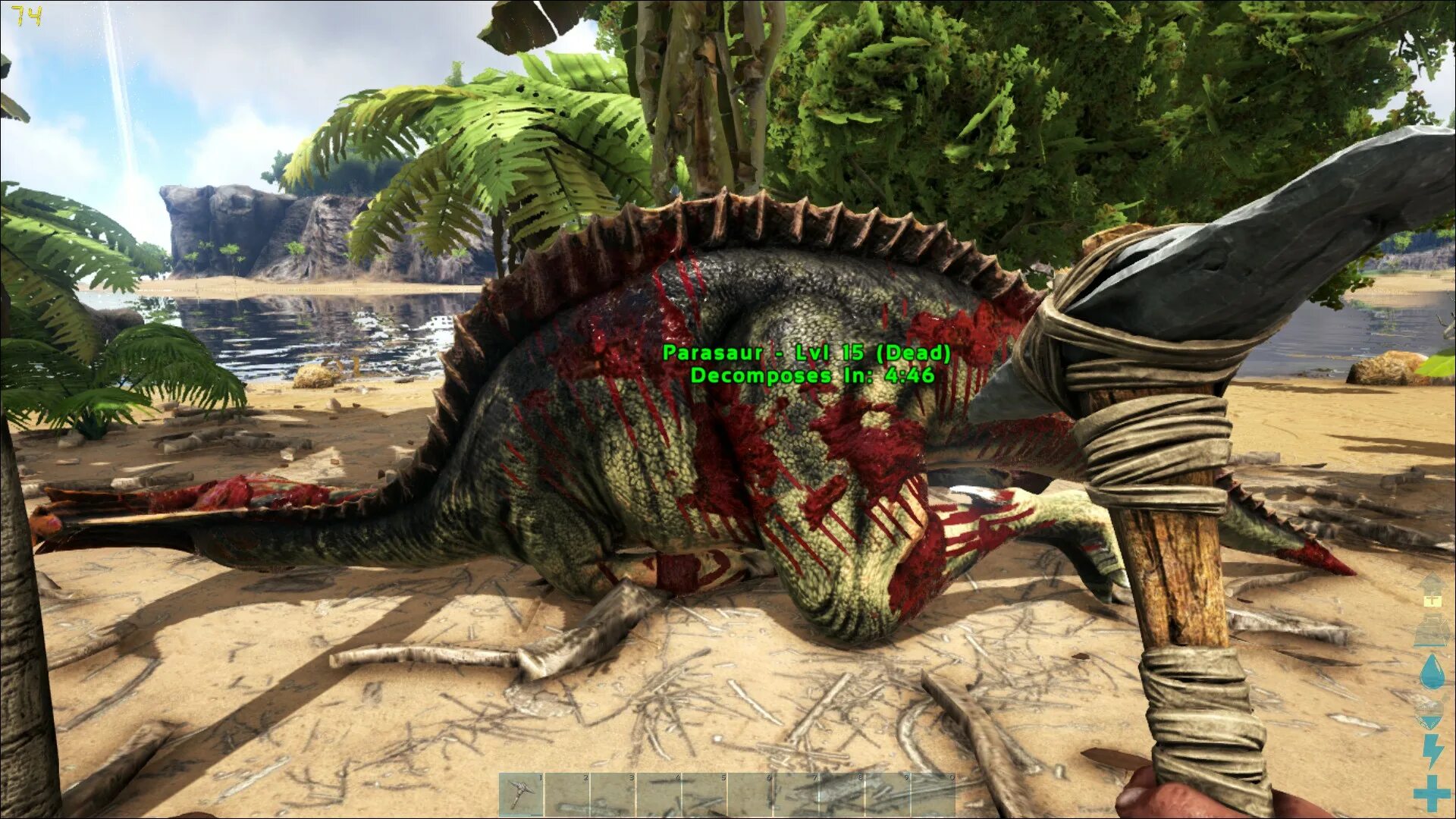 Ark на андроид. Ark игра. arc survived evolved. ark: survival evolved. арк сурвайвал эволв.