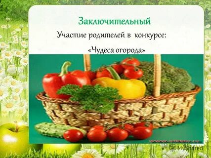 Чудо огород песня
