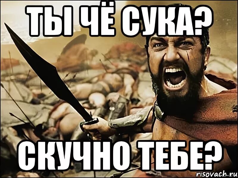 Песня че сука. Ты че сук. Ты че Бессмертный. Ты че. Это Спарта приколы.