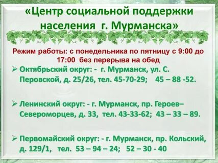 Соцзащита мурманск первомайский телефоны