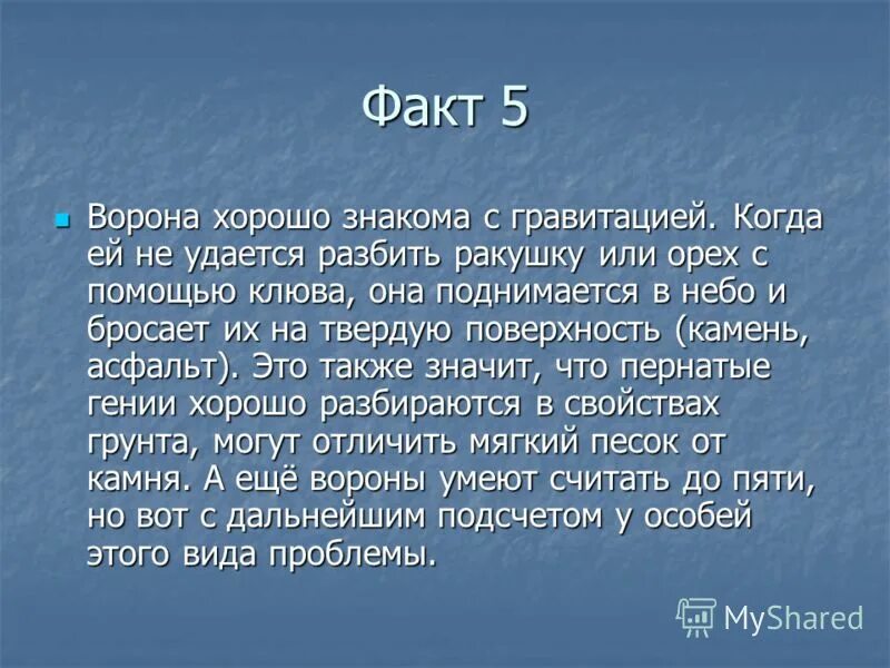 Интересные факты о Вароне. Интересное о воронах. Интересные факты о вороне. Интересные факты о ВОРАНЕ.