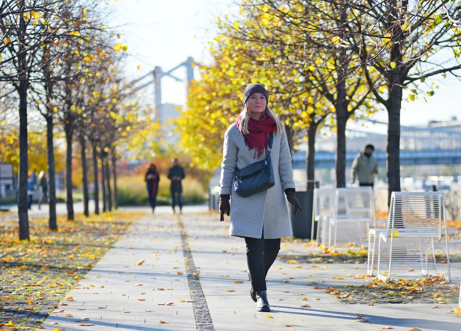 Москва в ноябре. Солнечный ноябрь. Солнечные дни москва октябрь. Солнышко осень. Бабье лето в москве мгу.