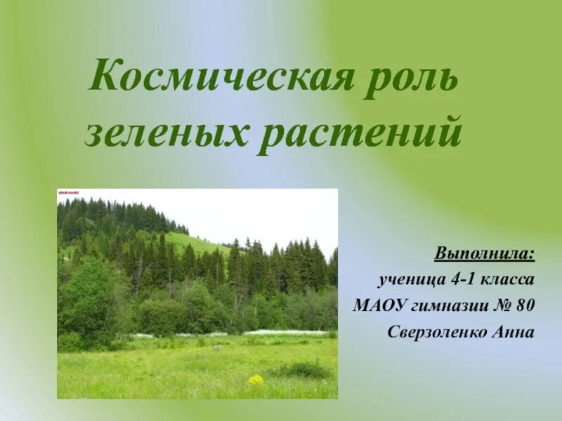 Космическая роль растений. Космическая роль зеленых растений. Космическая роль зеленых растений презентация. Презентация на тему роль зеленых растений. Что такое космическая роль растений