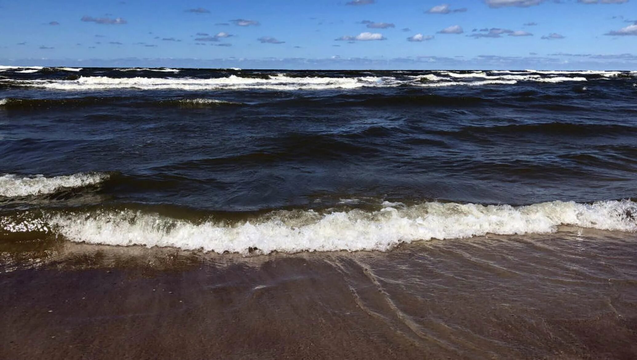 Балтийское море Паланга. Нефтяное пятно Балтийское море. Балтийское море малосолёное.