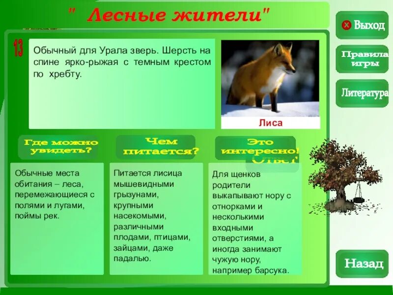 Небольшие ответвления с запасным выходом отнорки