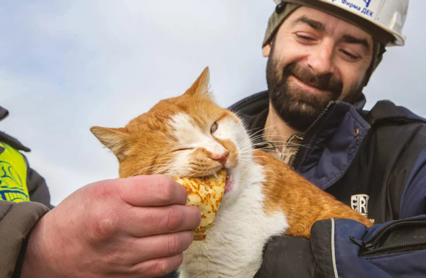 Памятник коту казанскому в казани улица баумана. Кот судьбы ванессы. Судьба кота. Выброшенный на произвол судьбы огромный заяц, италия. Судьба кота.