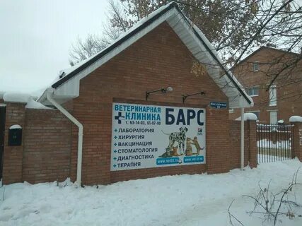 Барс тольятти