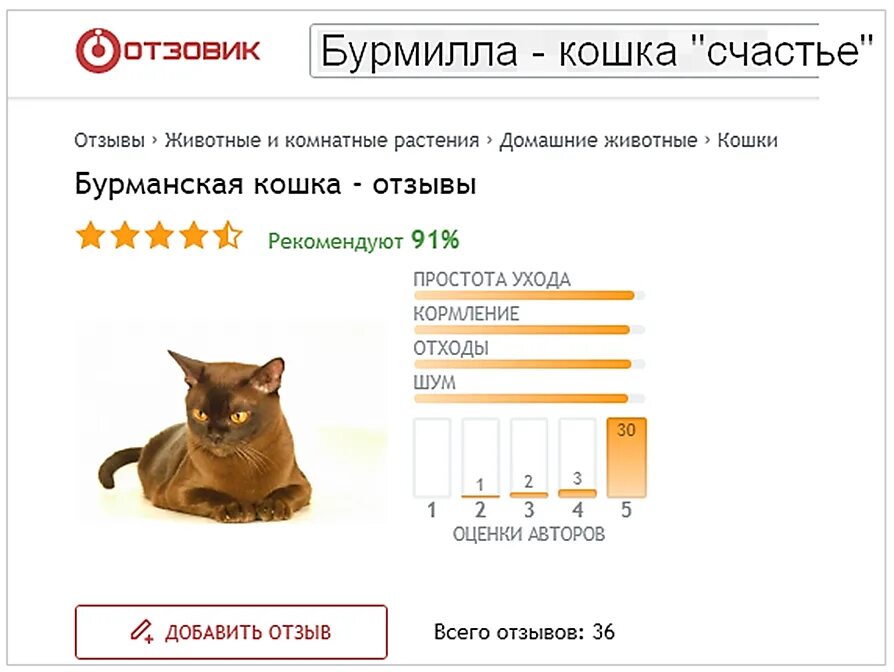 Интеллект кота. Рейтинг котов по интеллекту. Интеллект кота соответствует. Умственные способности кошки.