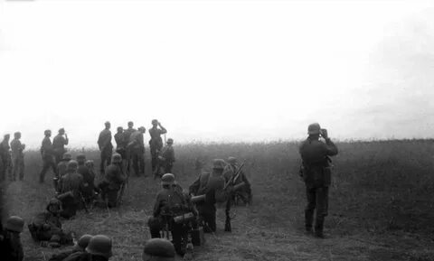 Поле перед боем