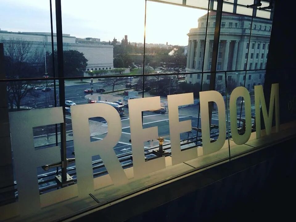 Фридом Хаус. Freedom House Россия. Дом свободы неправительственная организация. Ned и Freedom House. Организация дом свободы