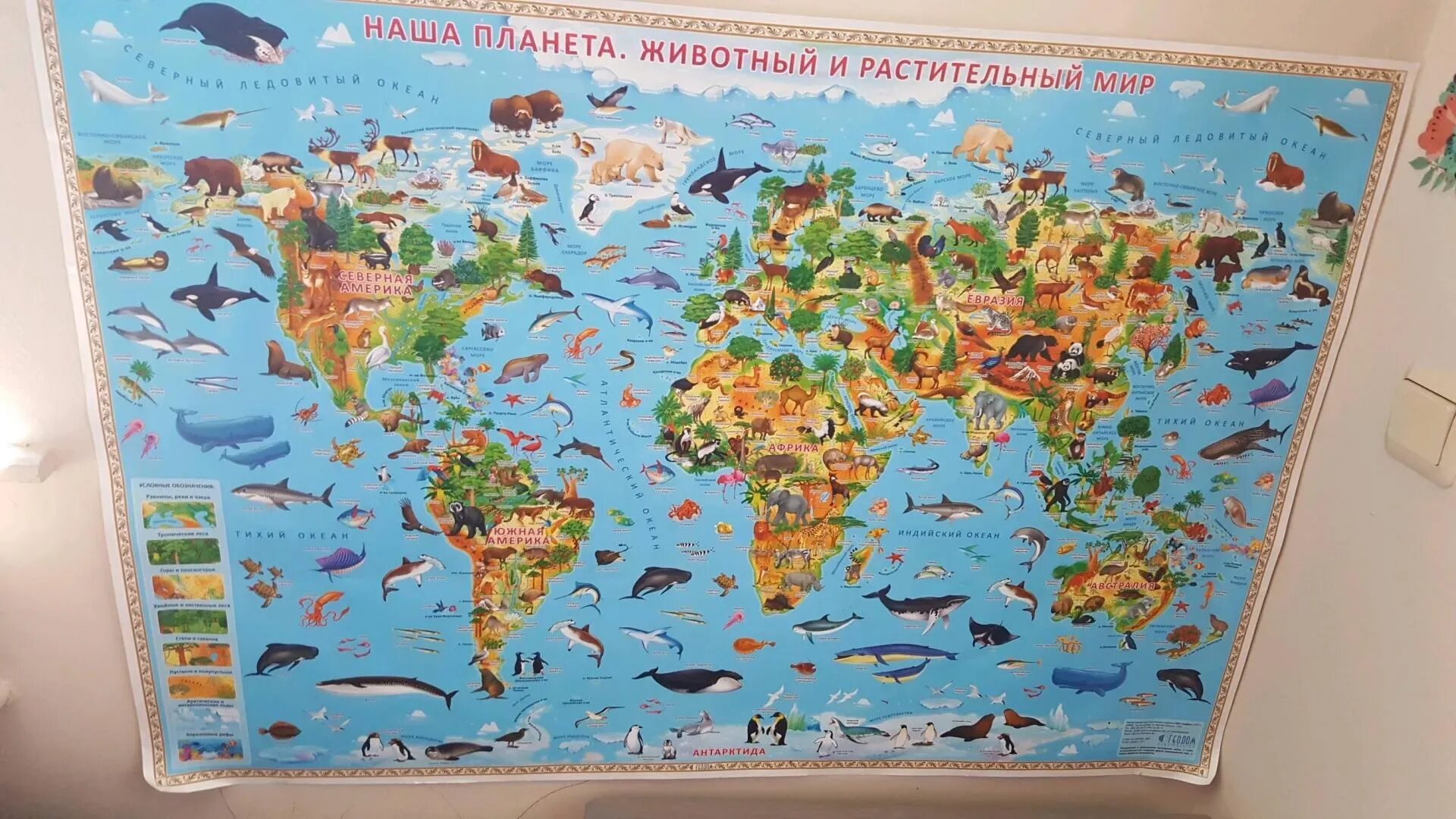 Фотографии детских карт. Фотографии детских карт