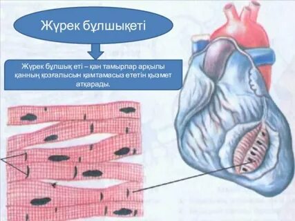 Жалаңаш шомылу туралы бейне