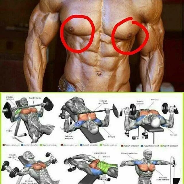 Низ грудных мышц. Жим лежа в тренажере хаммер. Упражнения на внутреннюю часть грудных. Жим лежа в смитта узким хватом. Упражнения на грудь со штангой.