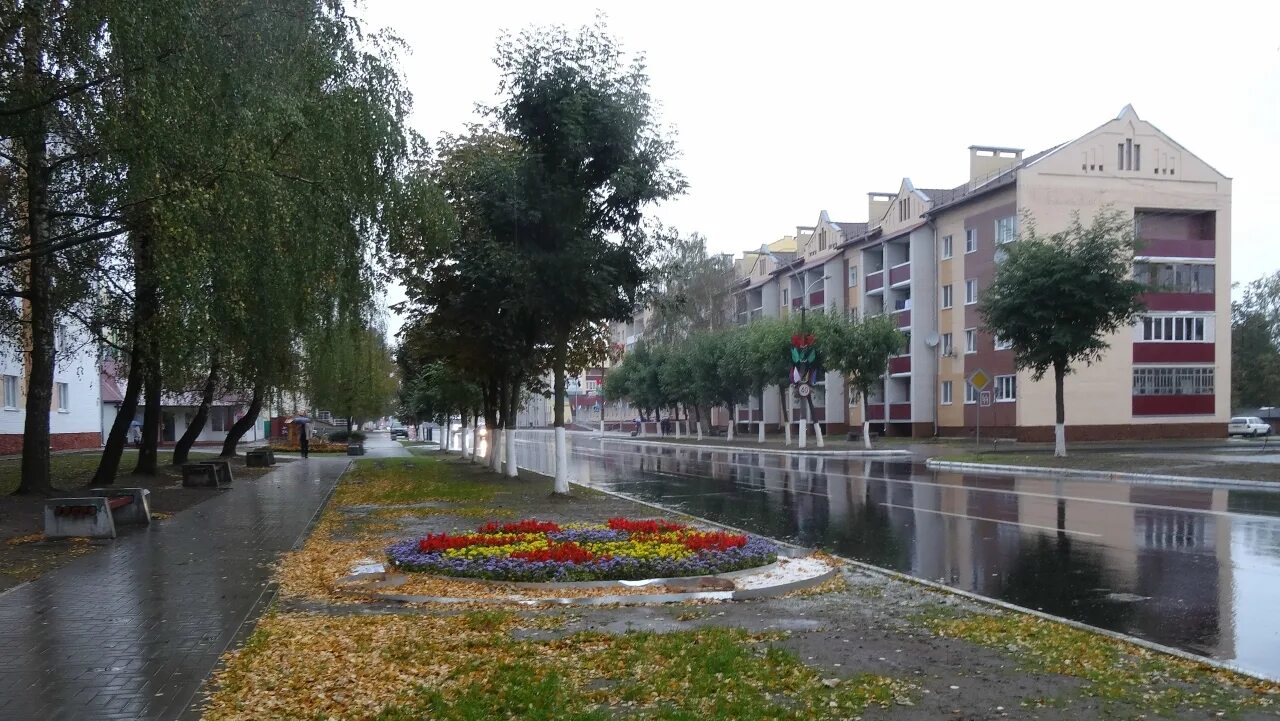 Телефоны города иваново. Город иваново брестская область. иваново рб. , у города иваново в брестской. иваново (брестская область) города белоруссии.