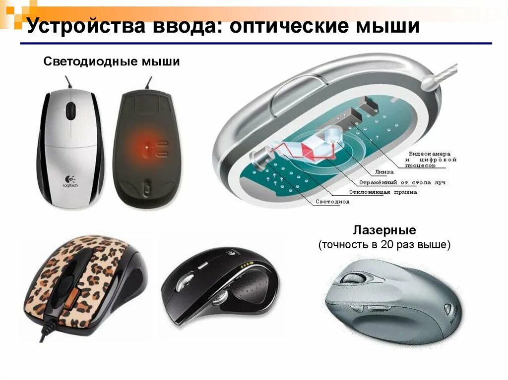 Мышь ввод информации