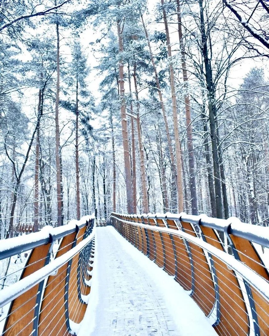Экотропа зимой. Столбы красноярск тропа. Экотропа кравцовские водопады. Парк лосиный остров босоногая тропа. Лосиный остров тропа.