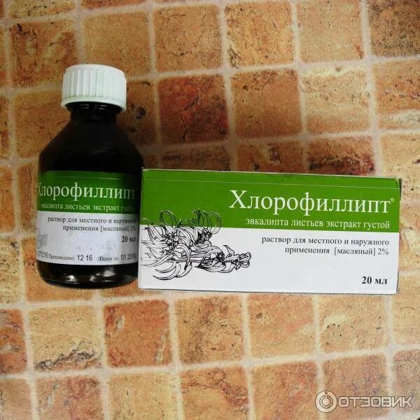 Хлорофиллипт масляный для полоскания. Хлорофиллипт 2%. хлорофиллипт масляный раствор. хлорофиллипт 2 процентный масляный. хлорофиллипт экстракт эвкалипта.