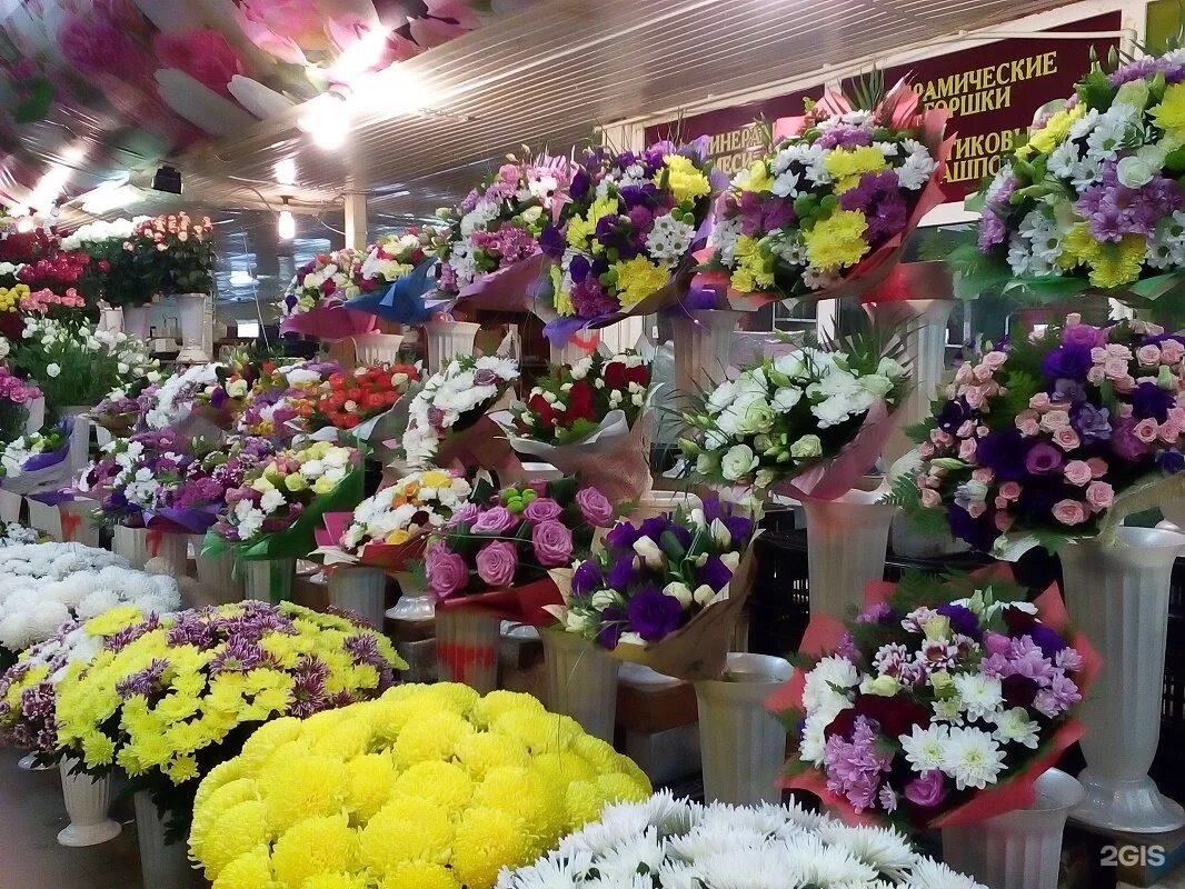 Магазин цветов цветочная база. Оптовый магазин цветов. Оптовая база цветов. Оптовые базы цветов. Оптовый цветочный магазин.