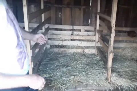 Как сделать стойло