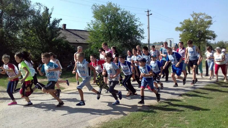 погода в чернышковском районе. погода в чернышковском районе. чернышковский район районы волгоградской. поселок басакин чернышковский район. загс волгоградская область.