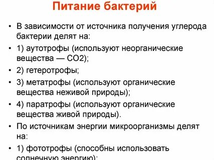 Бактерии и углерод