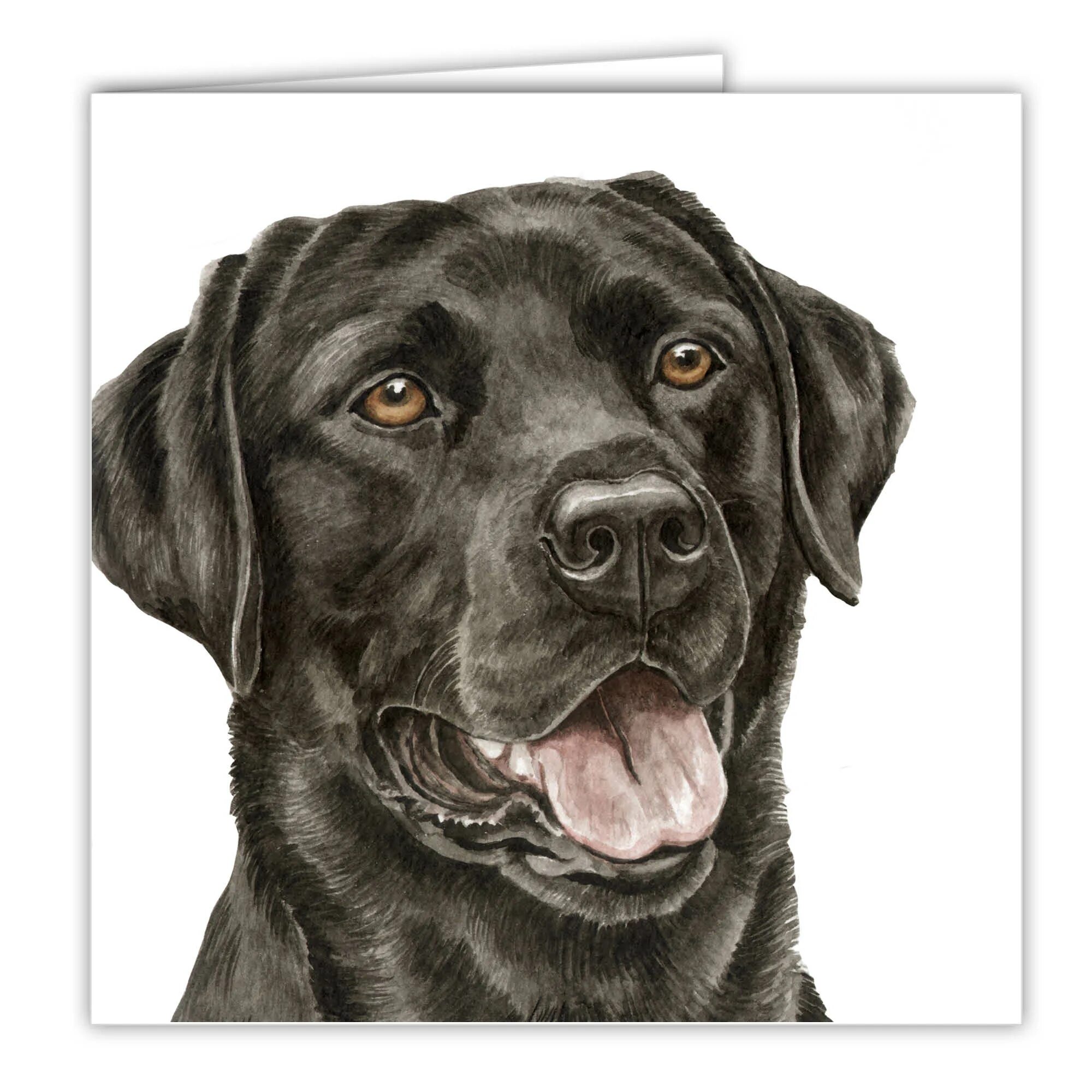 Рисунки черных собак. CARTOONIZEMYPET лабрадор. Черный лабрадор арт. Лабрадор вектор арт. Собака лабрадор арт.