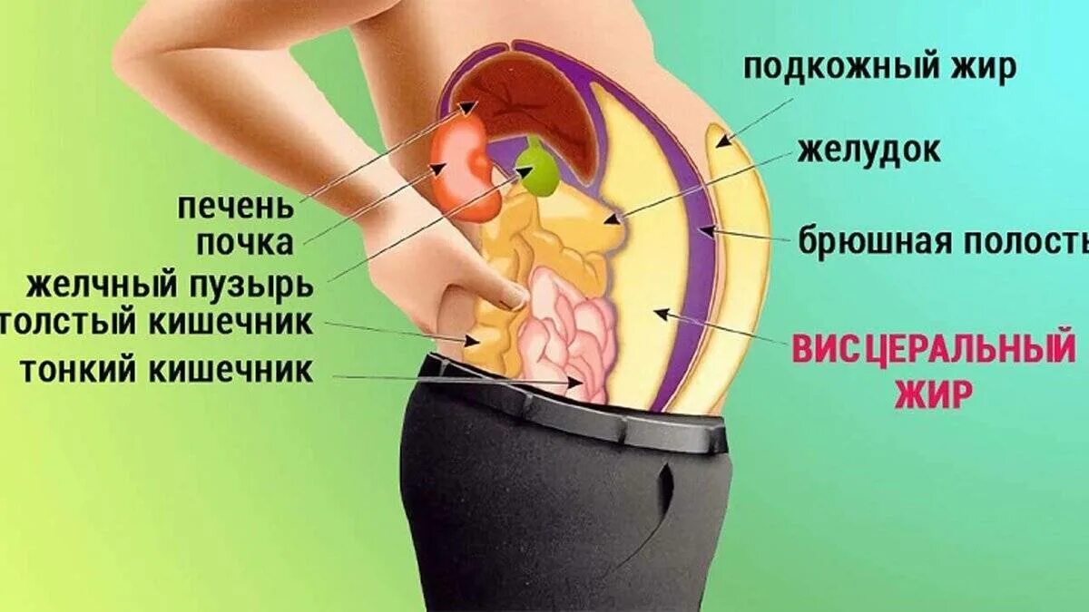 Газы в животе причины у женщин. Газы в животе причины у женщин