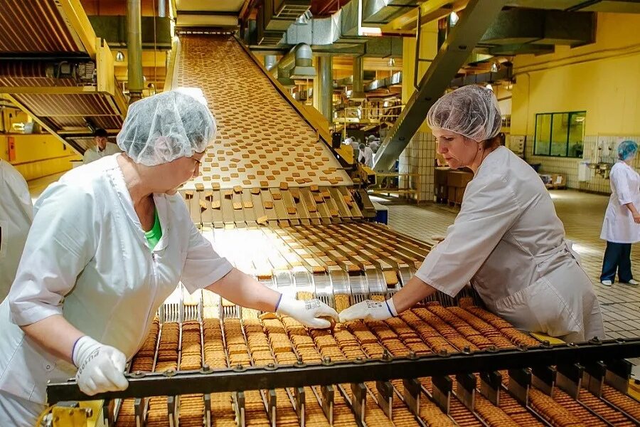 Риск в кондитерском производстве. Кондитерские фабрики. Шоколадная фабрика цех. Оценка рисков бизнес плана. Упаковщик шоколада.