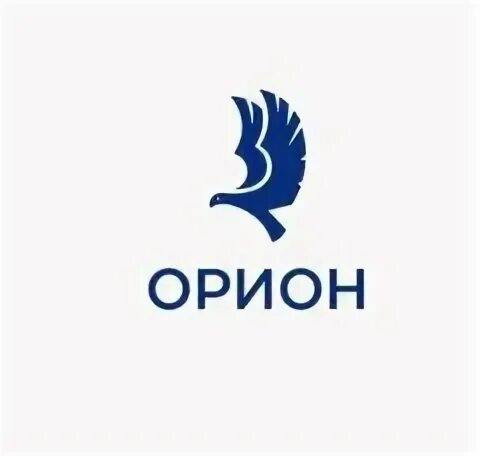 Орион работа. Орел орион сочи.