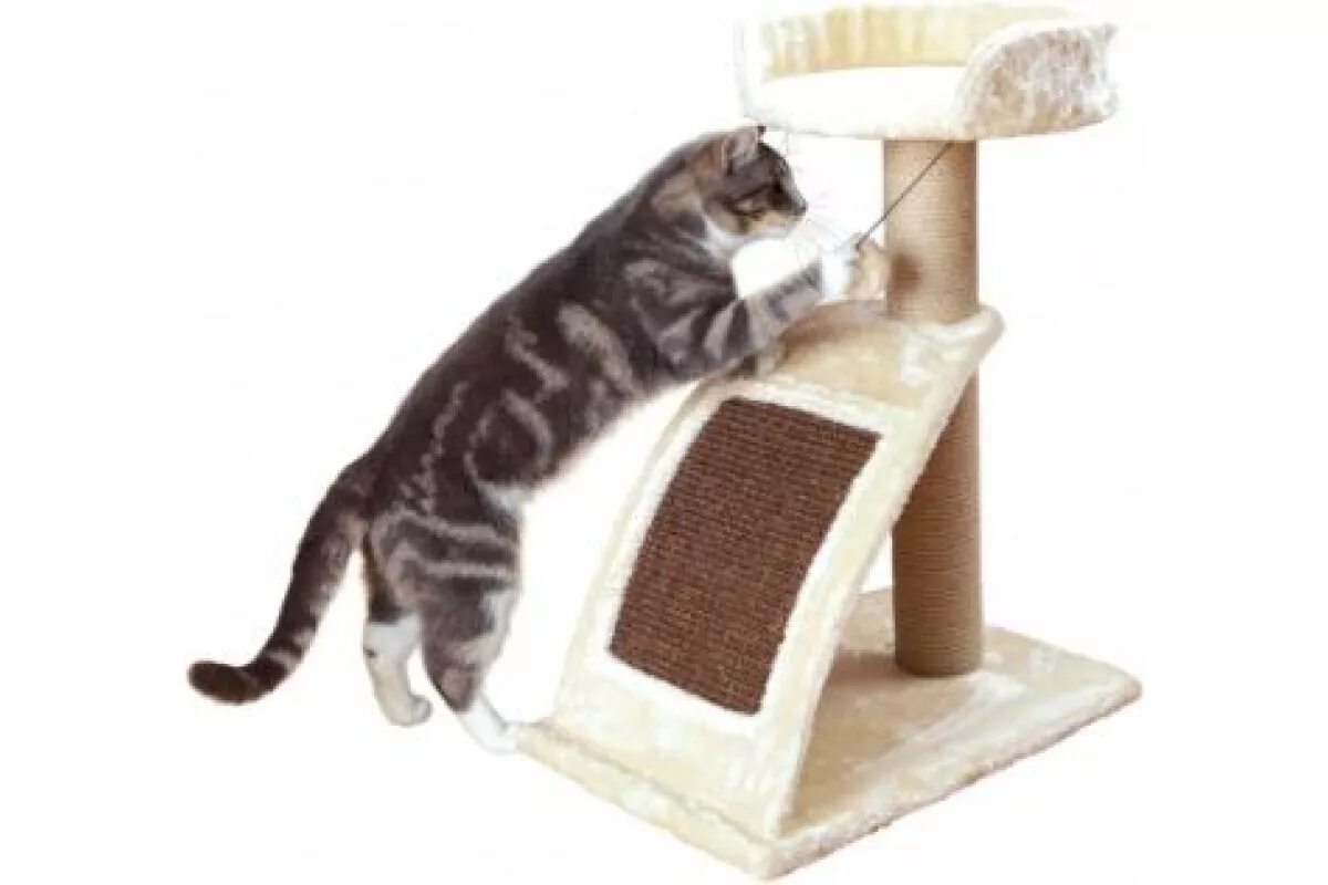 Когтеточка Trixie (48001). Когтеточка вайлдберриз. Валберис когтеточка для кошек. Угловая когтеточка для кошек.