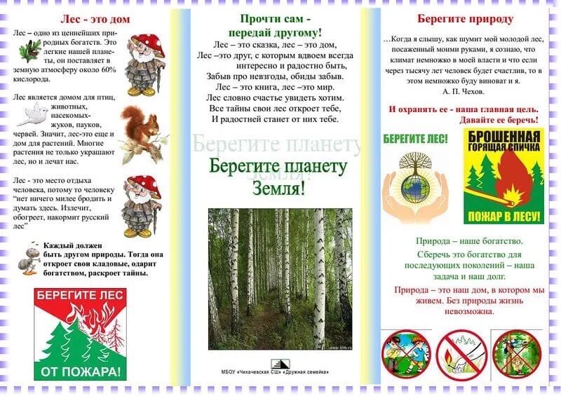 Экологические брошюры для детей. Брошюра защита леса. Памятка о сохранении природы. Буклет правила поведения в лесу.