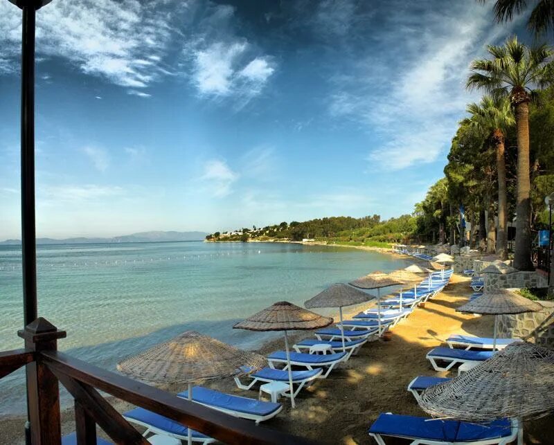 Omer holiday resort 5 турция кушадасы. Omer holiday resort 5 турция кушадасы. Omer holiday resort 4. Omer holiday resort 4. Омер холидей резорт.